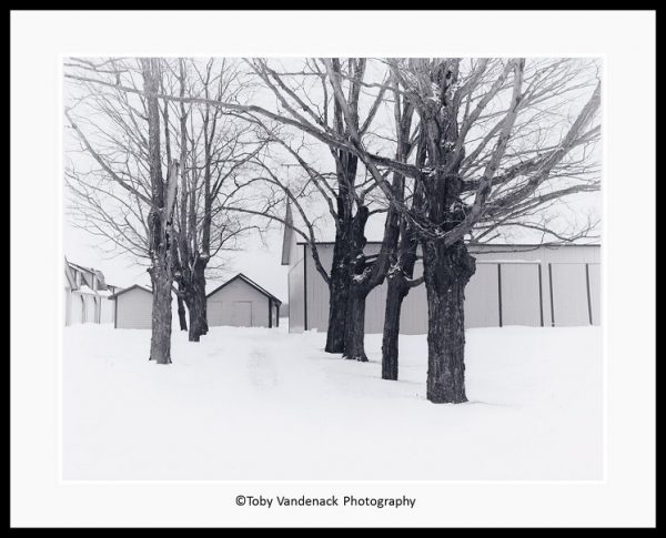 Winter Farm, Door County