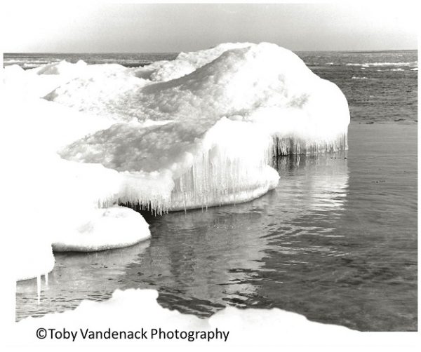Humpback, Lake Michigan