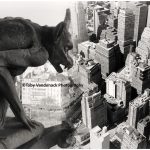 Paris New York Gothic