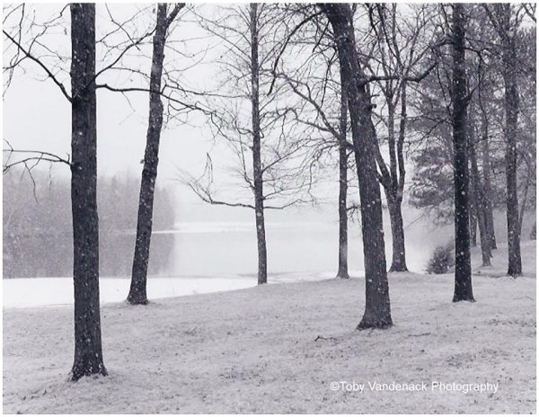Early Snow, Northwoods