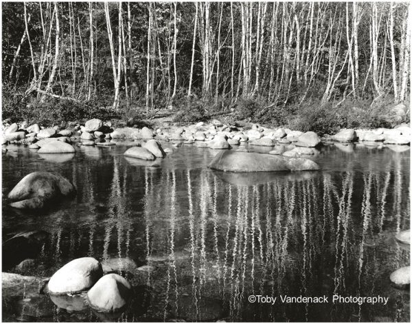 Autumn Rhythm Revisited, New Hampshire