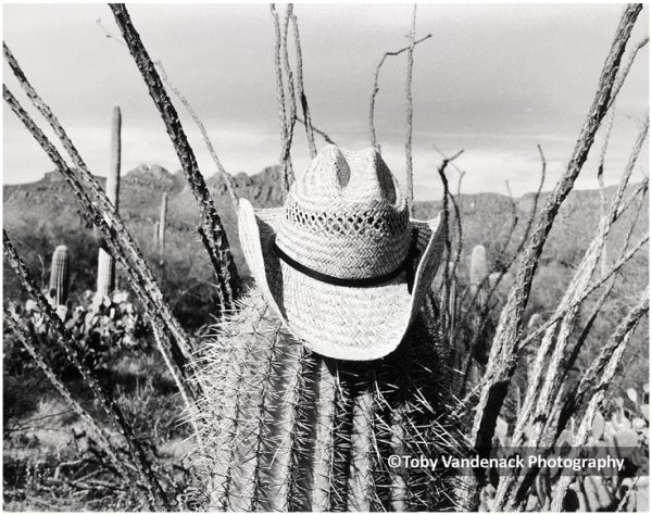 Amigo, Tucson, Arizona