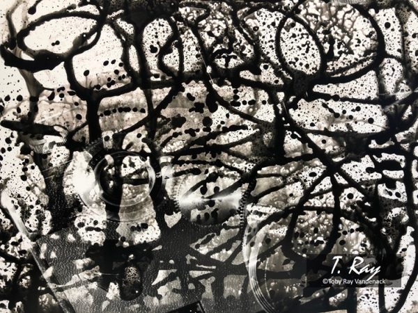 Argus No. 1, Exploring Abstract Expressionism in Photography