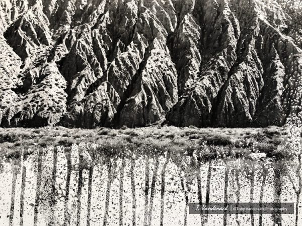 Death Valley Silver Rain No. 3