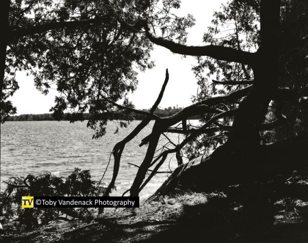 Door County Shoreline Sculpture