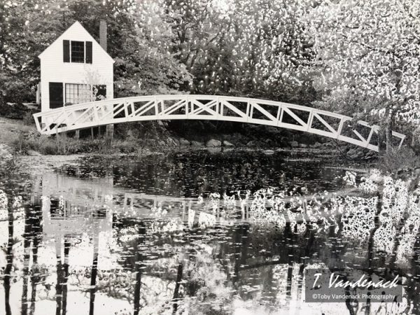 Silver Rain, The Little Bridge