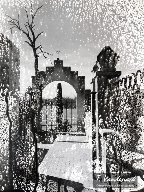 Arizona Desert Rain, White Dove Gate