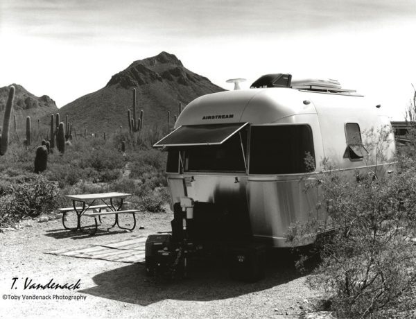 Snowbirds, Arizona