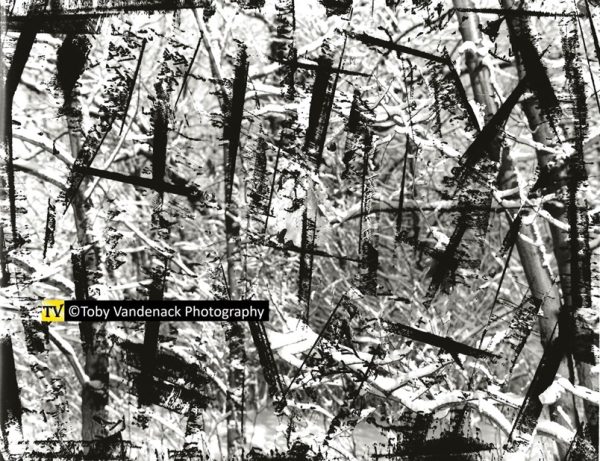 Abstract Visions Winter Rhythm