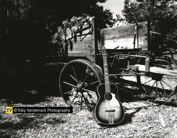American Country Blues