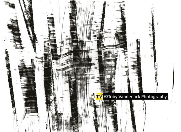 Winter Rhythm No. 4, Abstract Visions Series