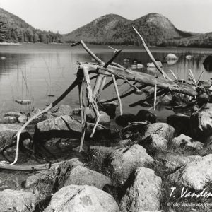 Acadia National Park Photography Workshop