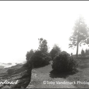 Shore Path, Bar Harbor, Maine