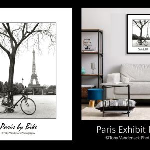 Paris Bicycle Poster Print